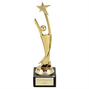 Aim for the Stars Gold Award