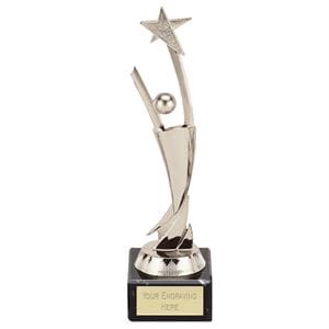 Aim for the Stars Silver Award
