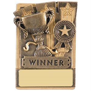Mini Magnetic Winner Award