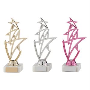 Rising Star Multi-Sport Trophy