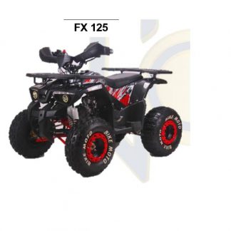 Dune buggies FX 125