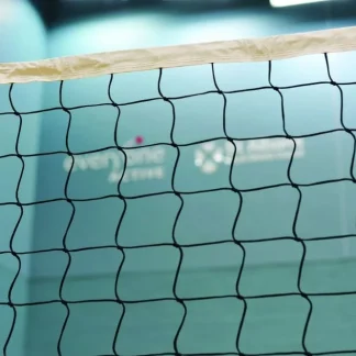 Edward Volleyball Match Net